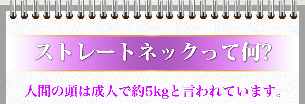 ストレートネックって何?人間の頭は成人で約5kgと言われています。